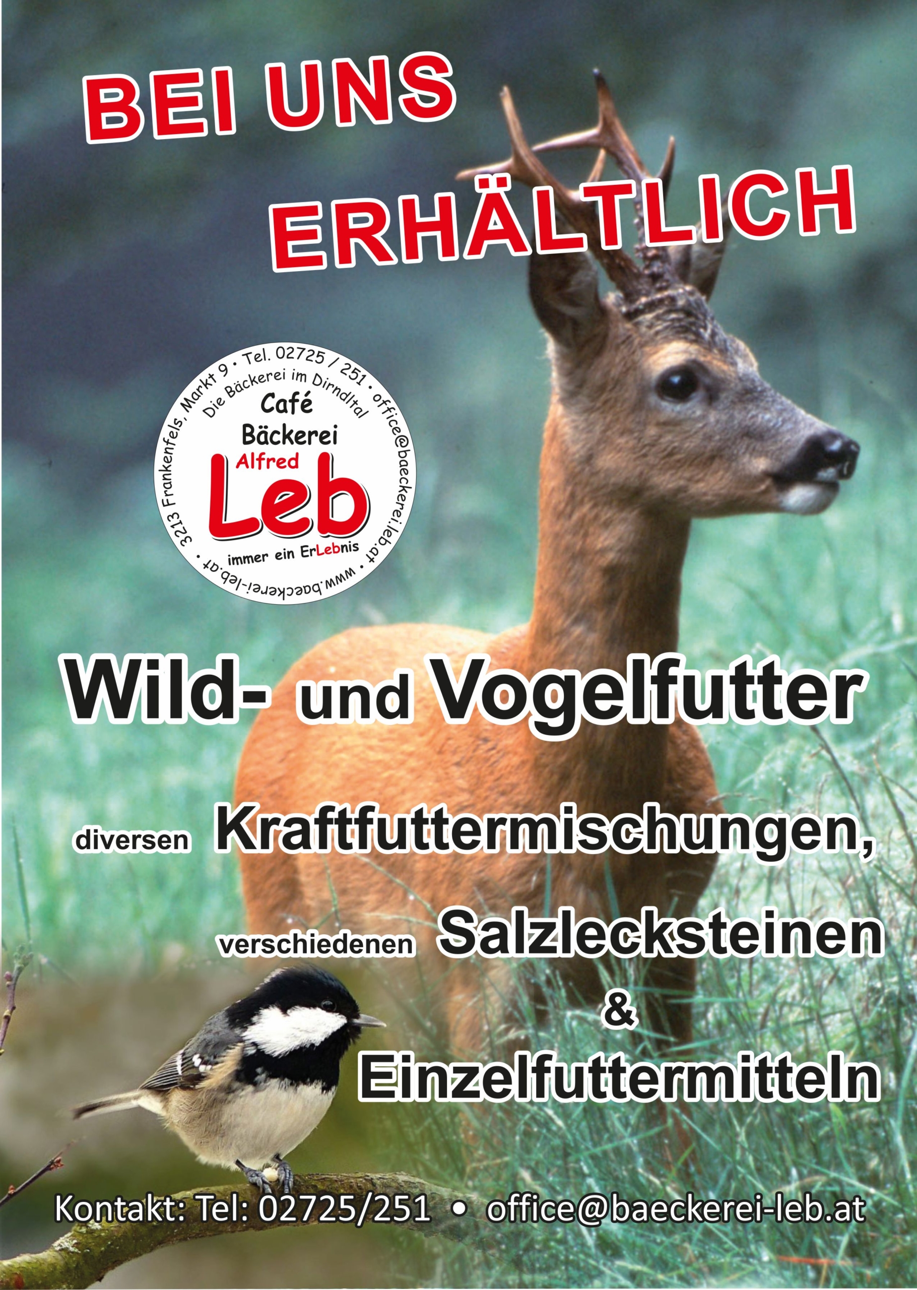 Flyer: Wild- und Vogelfutter bei uns